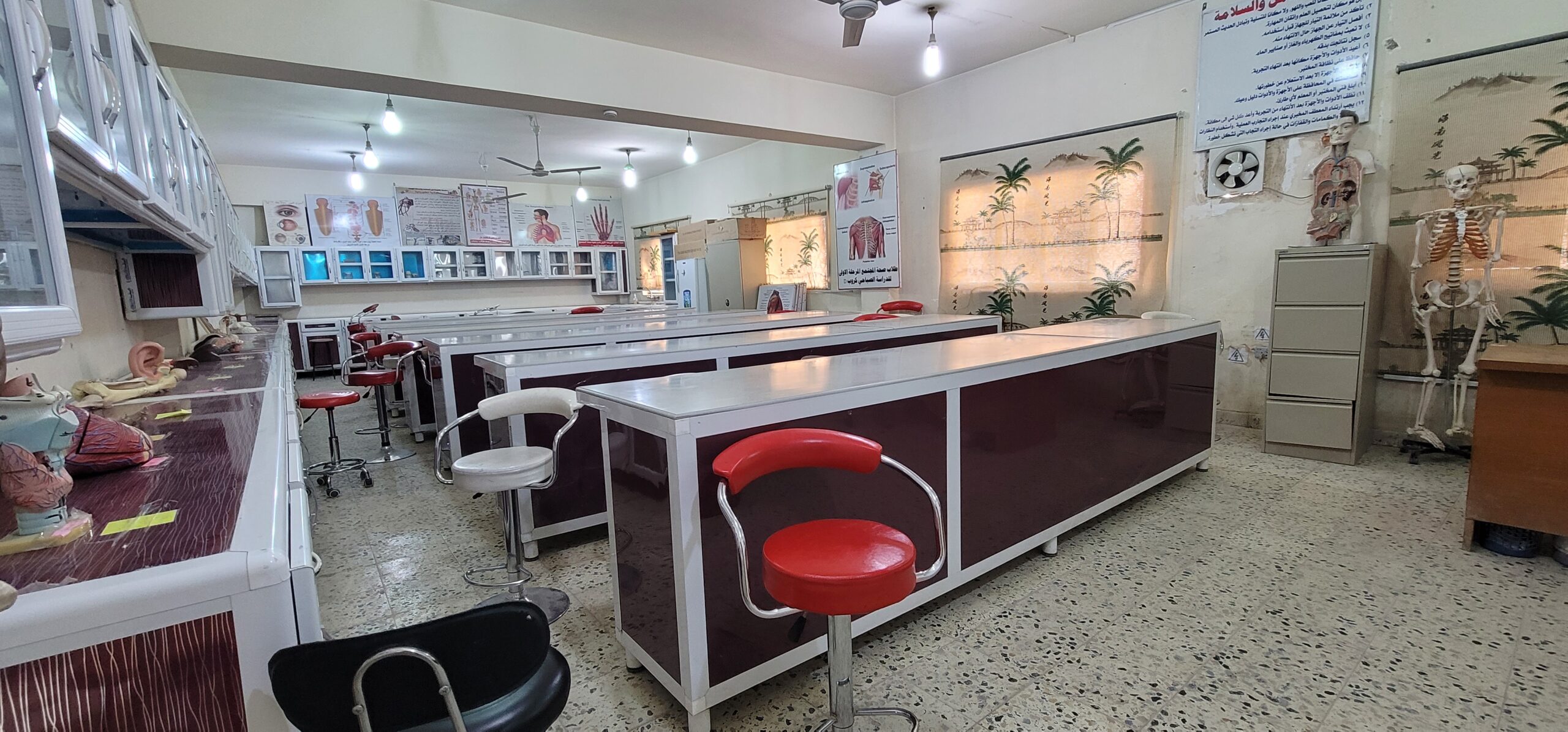 صورة مختبر التشريح 1