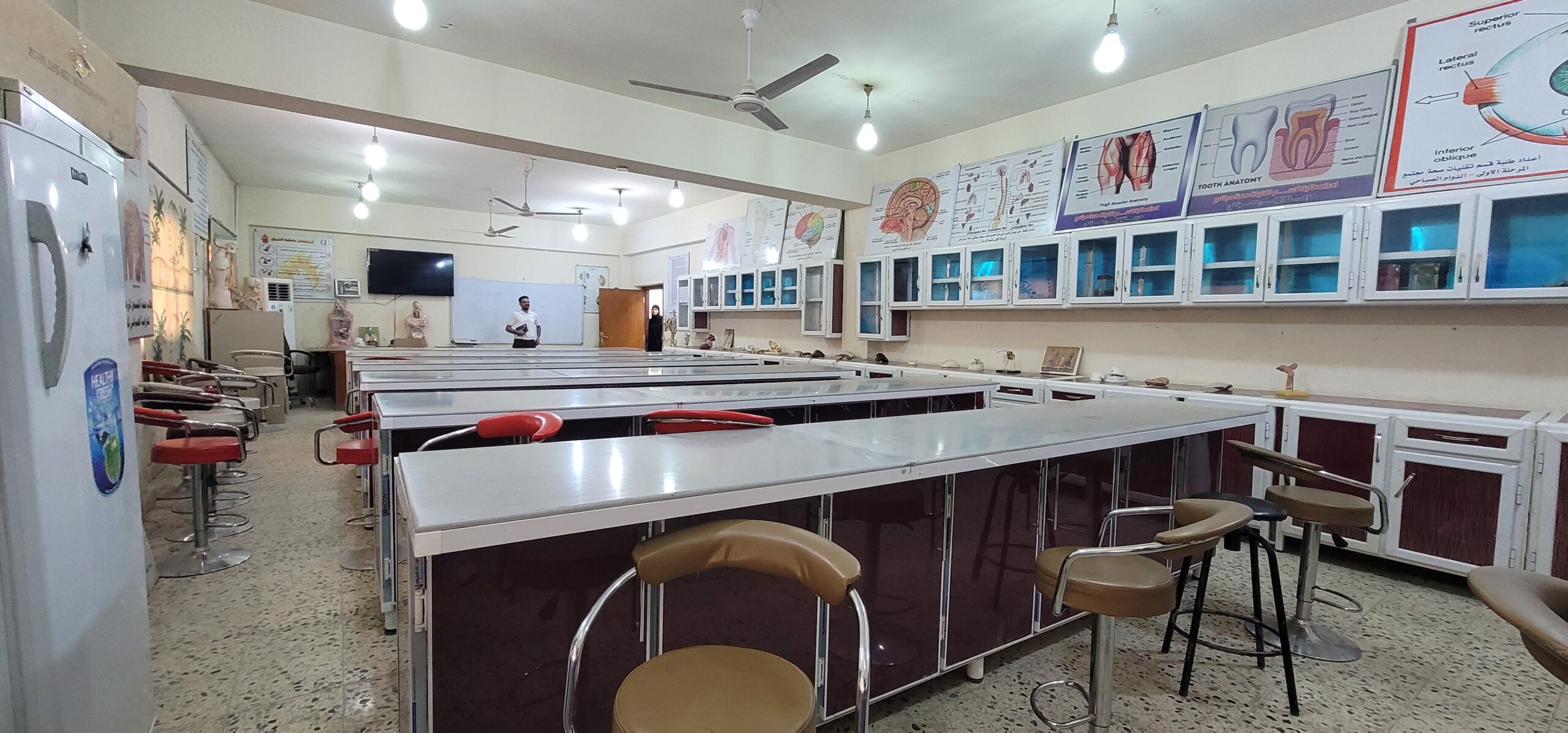 صورة مختبر التشريح 2